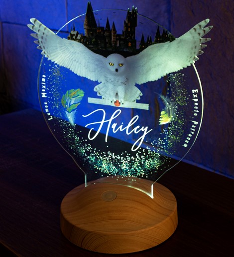 Harry Potter Hogwarts Hedwig Kişiye Özel 3D Led Lamba, Hediye Baykuş Gece Lambası, Harry Potter Hediyelik, Çocuk Odası Dekoru