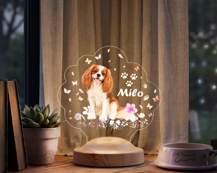 Köpek Fotoğraflı LED Lamba, Kişiye Özel Fotoğraf ve İsimli Evcil Hayvan Temalı Lamba Hediye