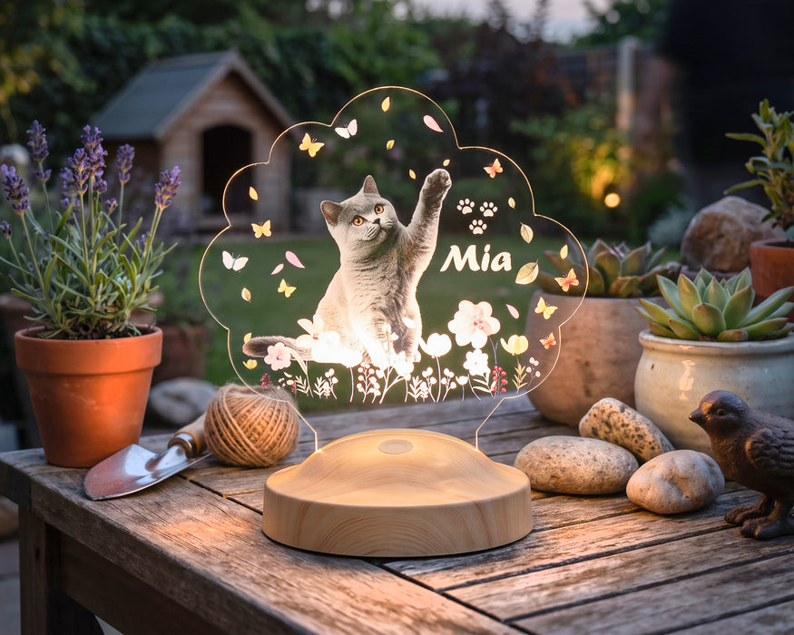 Kedi Fotoğraflı LED Lamba, Kişiye Özel Fotoğraf ve İsimli Evcil Hayvan Temalı Lamba Hediye