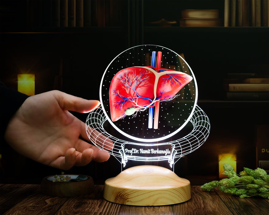 Karaciğer Hepatolog Uzmanına Hediye – Kişiye Özel Gastroenteroloji & Hepatoloji Doktoru LED Lamba, Karaciğer Tasarımlı Tıp Hediyesi